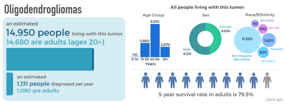 Infographic showing newly diagnosed cases, as well as prevalence by age, sex, and race. The five-year relative survival rate is also shown.