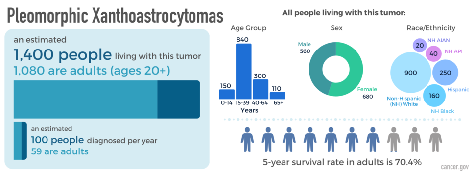 Infographic showing newly diagnosed cases, as well as prevalence by age, sex, and race. The five-year relative survival rate is also shown.