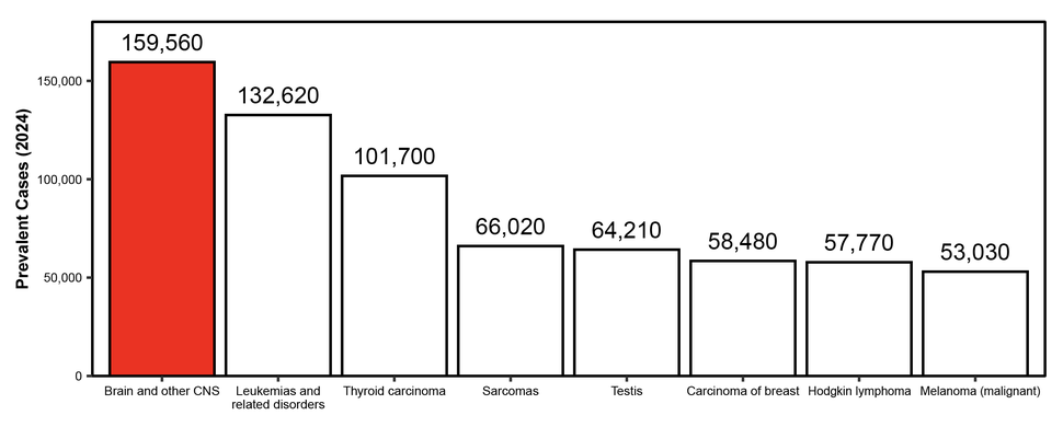 Pie char showing the estimated prevalence of the eight most common cancer types in children and adolescents in the United States during 2024. Brain and other CNS tumors are estimated to be the highest, with 159,560 cases.