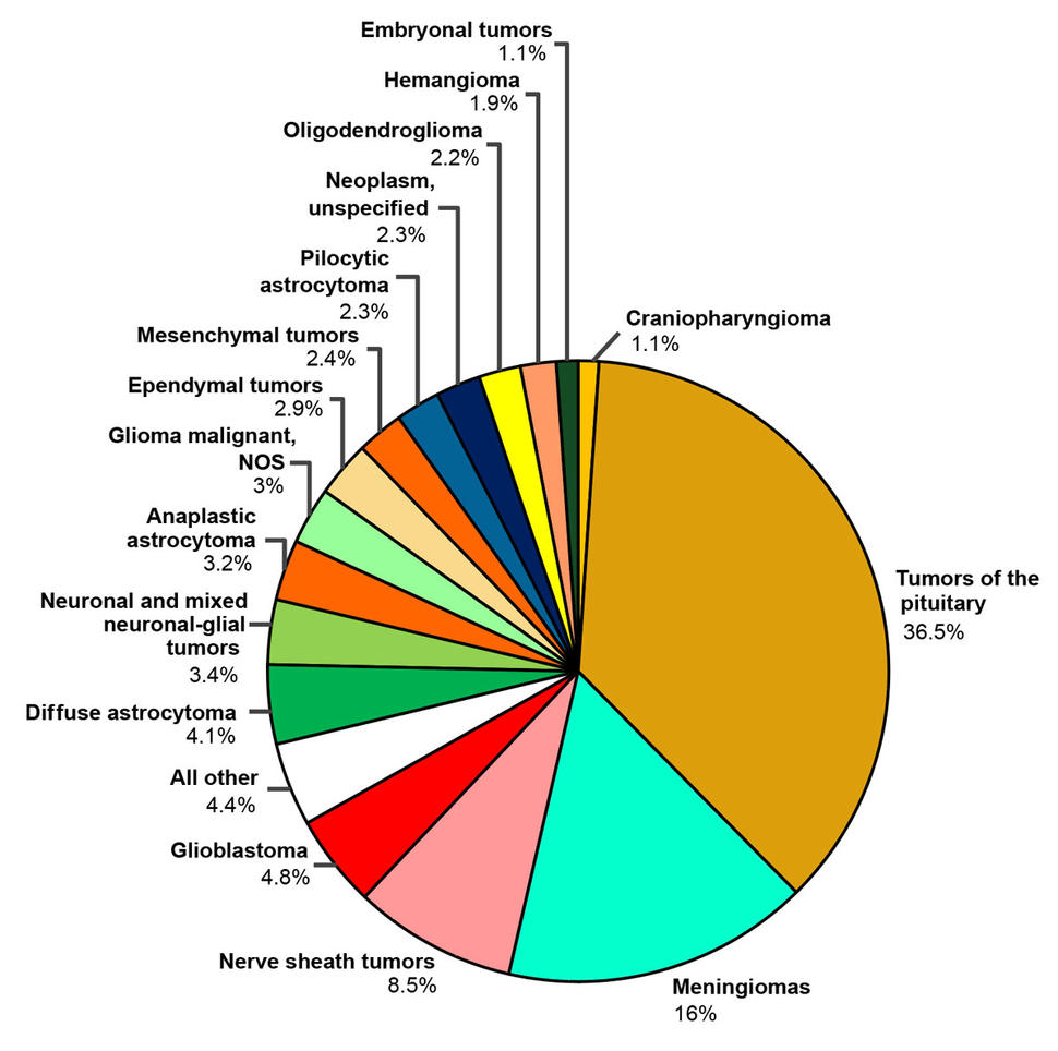 Pie chart showing the distribution of non-malignant primary brain and other CNS tumor types across AYAs age 15-39 years between 2016 and 2020. Tumors of the pituitary are most common.