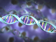 DNA methylation illustration 