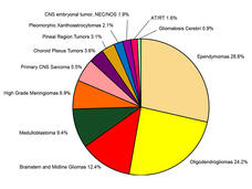 Pie chart showing distribution of newly diagnosed cases by tumor type: Gliomatosis Cerebri (0.9%), AT/RT (1.6%), Primary CNS Sarcoma (5.5%), CNS embryonal tumor, NEC/NOS (1.9%); Pleomorphic Xanthoastrocytomas (2.1%); Pineal Region Tumors (3.1%); Choroid Plexus Tumors (3.6%); Brainstem and Midline Gliomas (12.4%); High Grade Meningiomas (6.9%); Medulloblastoma; (9.4%) Oligodendrogliomas (24.2%); Ependymomas (28.6%)