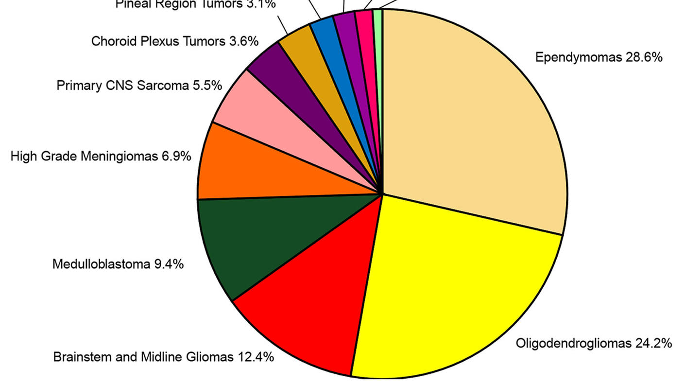 Pie chart showing distribution of newly diagnosed cases by tumor type: Gliomatosis Cerebri (0.9%), AT/RT (1.6%), Primary CNS Sarcoma (5.5%), CNS embryonal tumor, NEC/NOS (1.9%); Pleomorphic Xanthoastrocytomas (2.1%); Pineal Region Tumors (3.1%); Choroid Plexus Tumors (3.6%); Brainstem and Midline Gliomas (12.4%); High Grade Meningiomas (6.9%); Medulloblastoma; (9.4%) Oligodendrogliomas (24.2%); Ependymomas (28.6%)