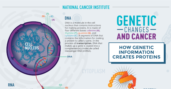 cancer and genetic changes