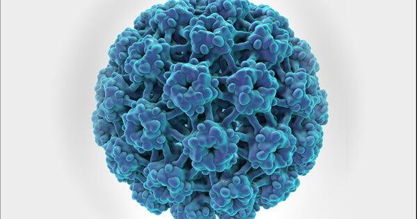 HPV and Cancer - National Cancer Institute