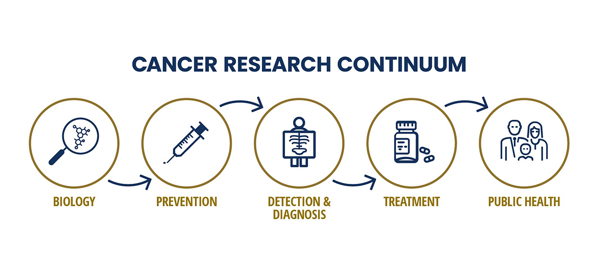 Cancer Research Continuum