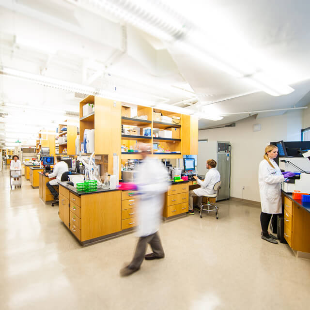 Technicians working in a research lab.