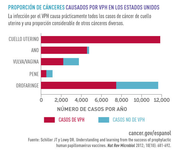 papanicolaou anormal y vph negativo)