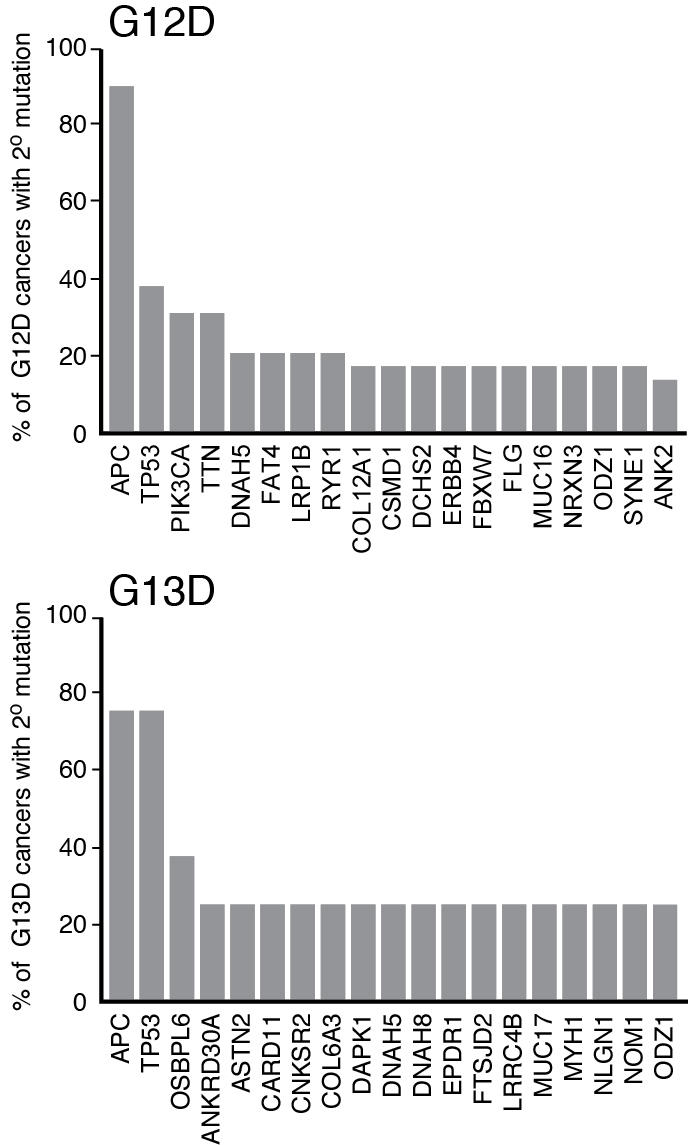 Two bar charts measuring secondary mutation profiles of CRCs expressing mutant KRAS. The top chart is labeled G12D, the bottom is labeled G13D. The largest bar in the top chart is APC; in the bottom chart, APC and TP53 is the same height and is larger than others.