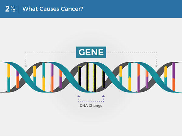 5 paragraph essay on cancer