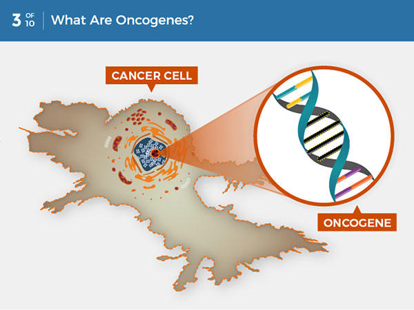 Cancer Cells vs. Normal Cells: How Are They Different?