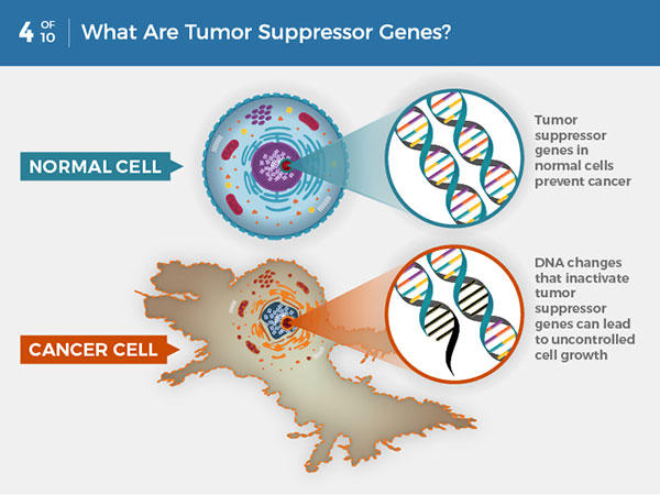 Flaws in a tumor's genetic mending kit drive treatment response to immunotherapy -- ScienceDaily