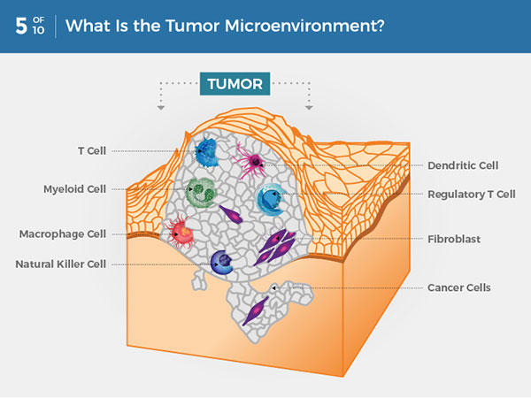 cancer benign cells)