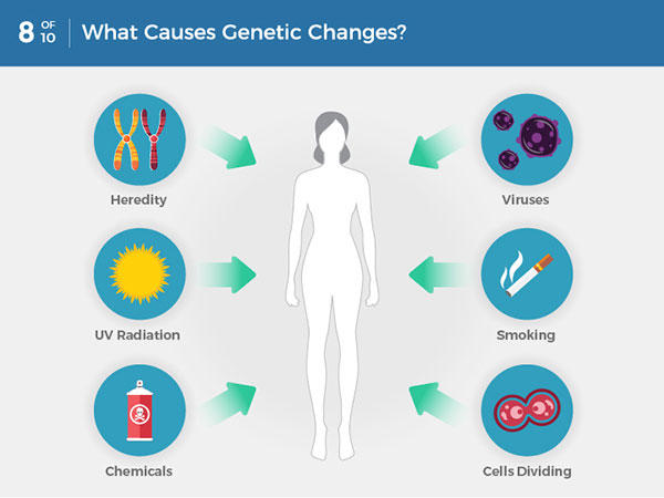 The Genetics Of Cancer Nci