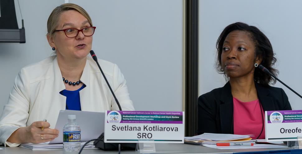 Dr. Svetlana Kotliarova and Dr. Oreofe Odejide participate in a mock review panel.