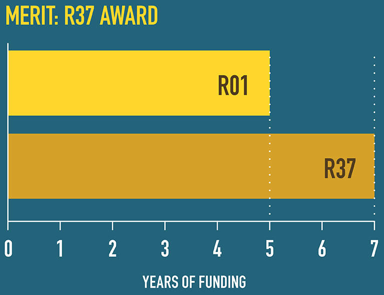 This graph shows that R01 awards provide 5 years of funding versus R37 MERIT Awards, which provide 7 years of funding.