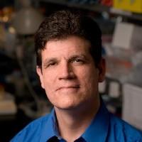 Headshot of Dean W. Felsher
