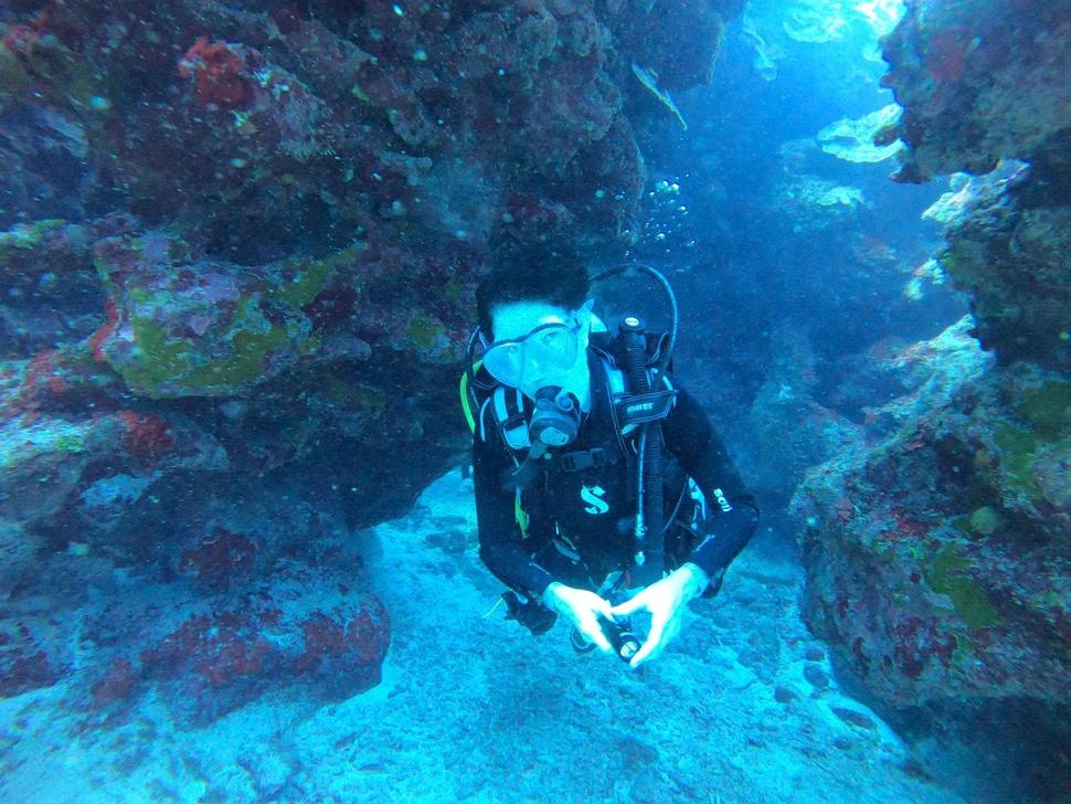 Dr. Ophira Ginsburg Diving surrounded by coral reefs