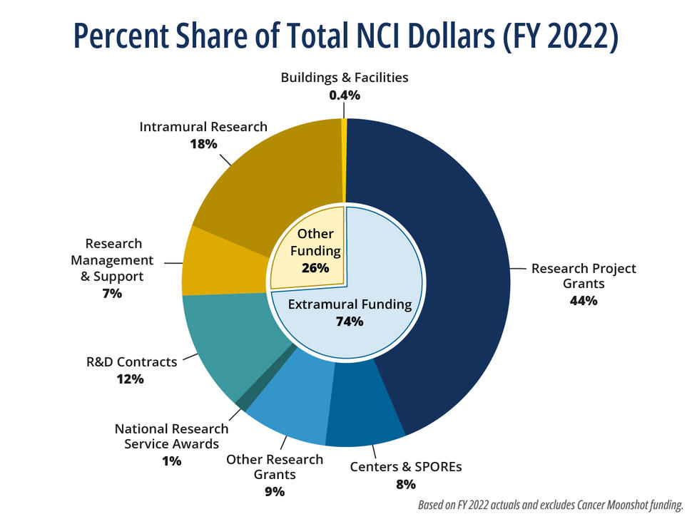 A sunburst/doughnut chart showing one breakdown of NCI’s fiscal year 2022 budget.