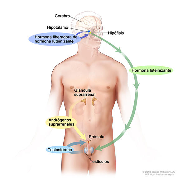 tratamiento hormonal para cancer de prostata avanzado)