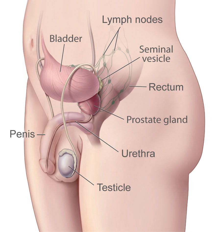 asymmetrical prostate symptoms