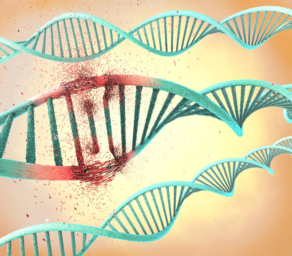 Illustration of a damaged DNA double helix.