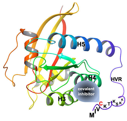 Ras Covalent Inhibitors National Cancer Institute