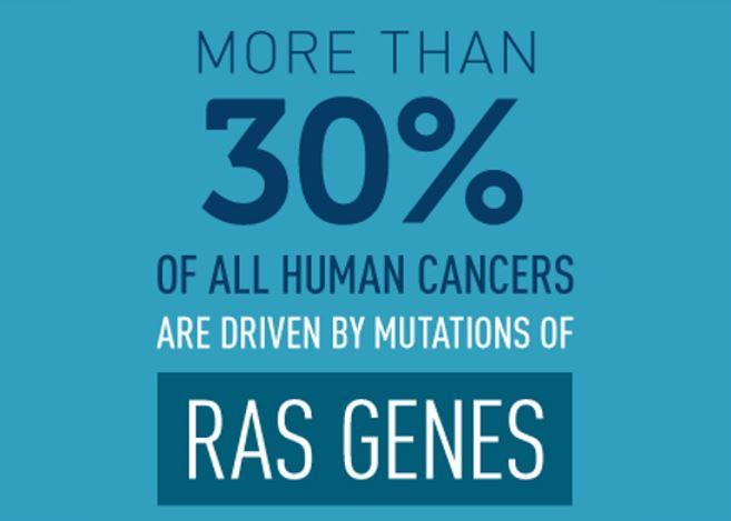 More than 30% of all human cancers are driven by mutations in RAS genes.