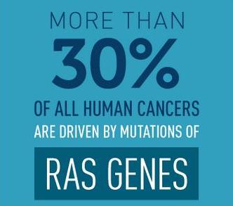 More than 30% of all human cancers are driven by mutations in RAS genes.