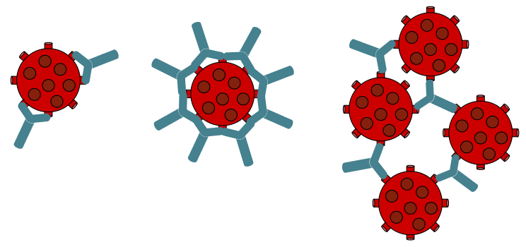 Los anticuerpos (en azul) se unen a gérmenes como los virus (en rojo) en distintas formaciones.