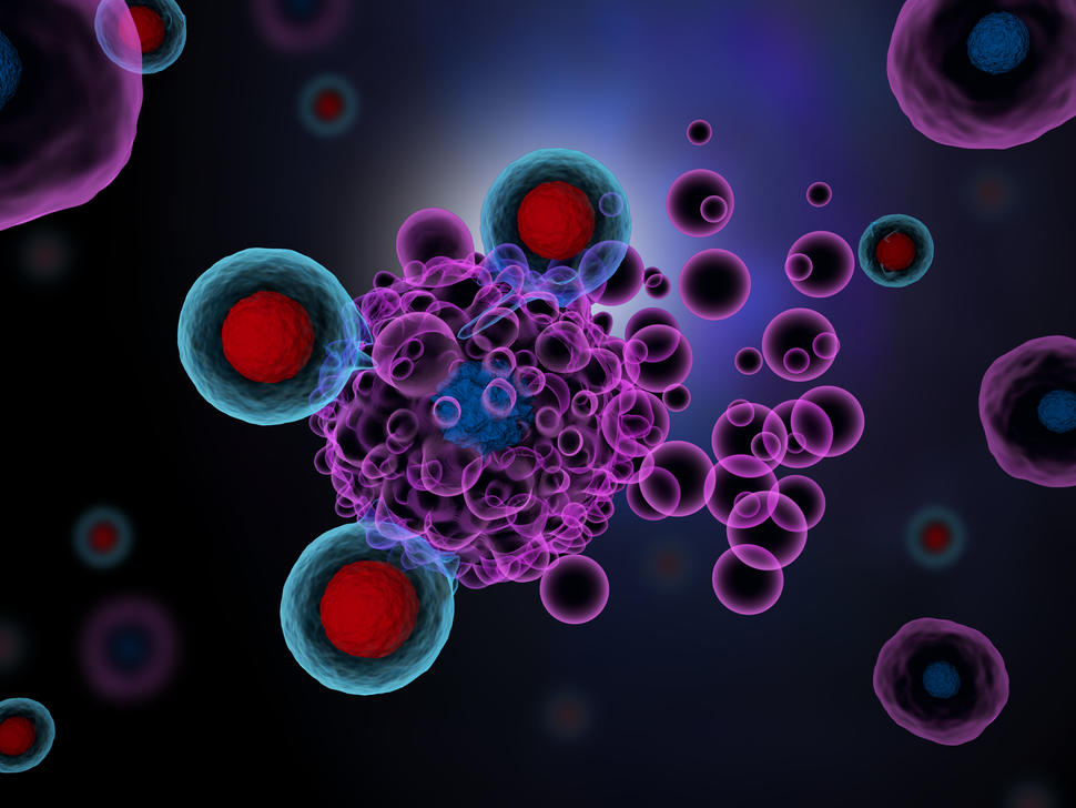 Artist’s rendering of T cells (red and blue spheres) attacking cancer cells. 