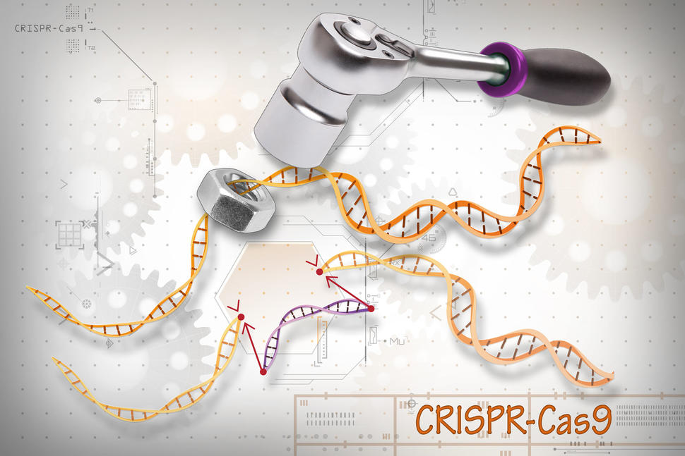 Wrench and socket on a graphic of DNA