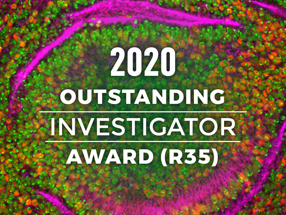 2020 Outstanding Investigator Award (R35)