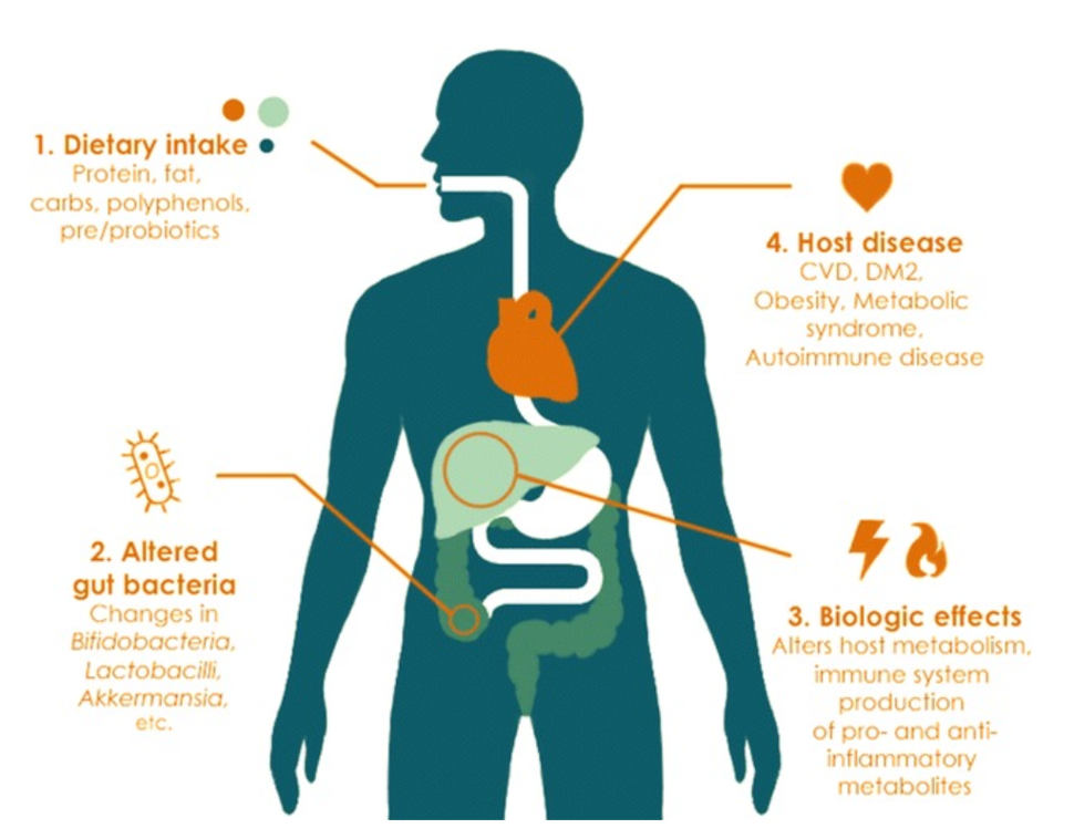 sarcini gastrite gastroduodenită helmintiază la copii jvp cancer y papillomavirus