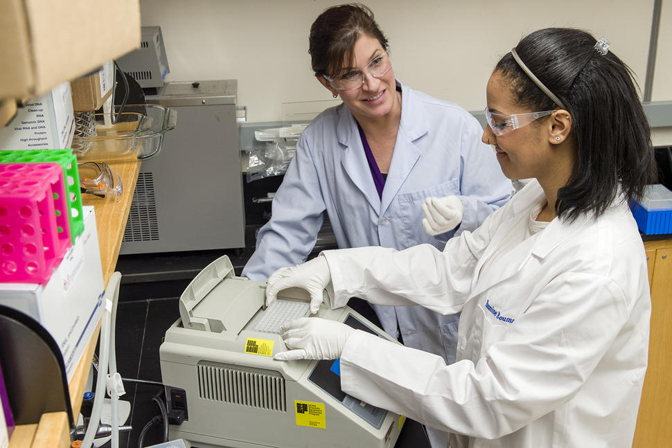 Mentor and mentee work together on a project with a GeneAmp PCR System 9700.