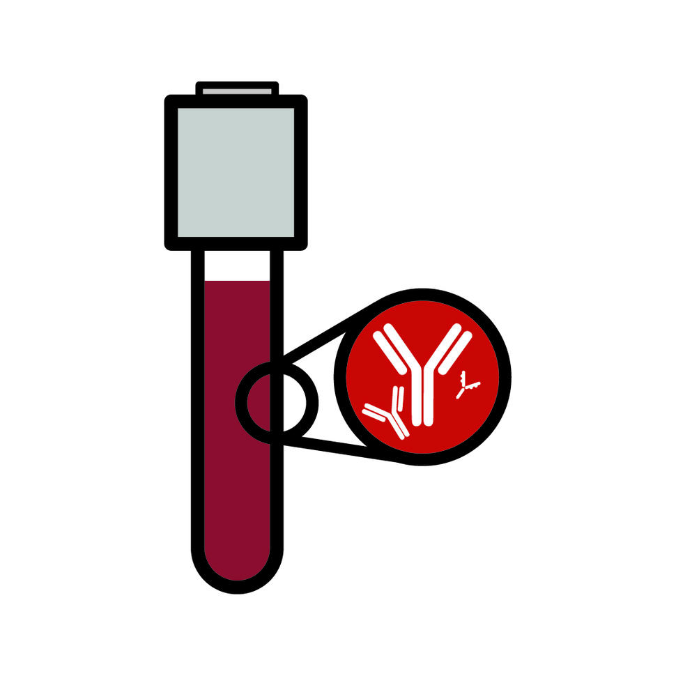 Illustration showing antibodies in a positive COVID-19 Antibodies test