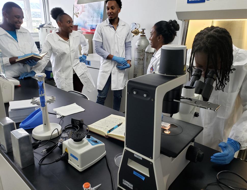 Dr. Simone Badal and her students discuss research in the lab at the University of the West Indies, Mona.