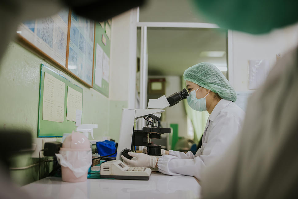 Asian female researcher looks into microscope in a laboratory setting