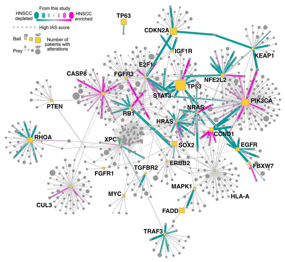 A protein-protein "interactome" of protein-protein interactions.