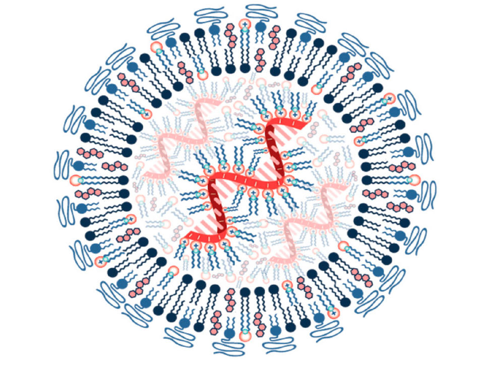 Estructura de una nanopartícula lipídica con ARNm en su interior (estructura roja en forma de moño), rodeada por una capa de moléculas de grasa llamadas lípidos de polietilenglicol (PEG).