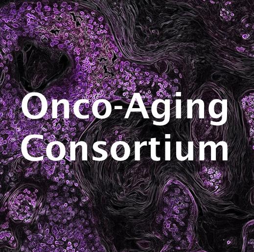 Image of KRAS-driven lung cancer overlayed with "Onco-Aging Consortium"