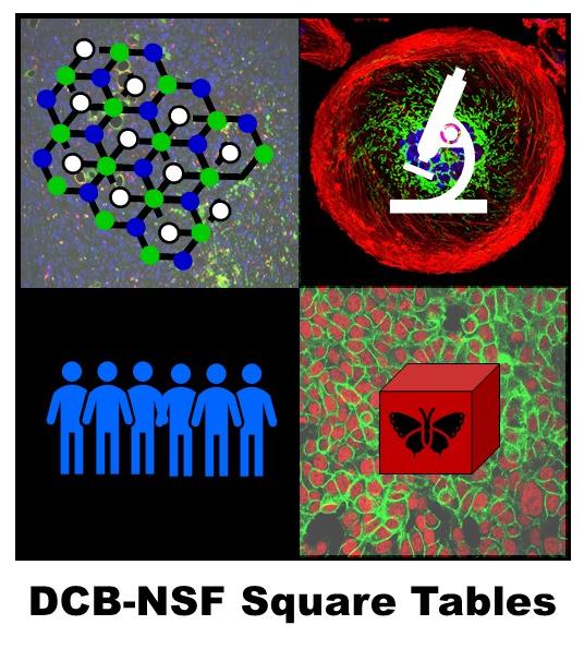 Representative image for the NCI-NSF Square Tables with a square for Living Materials, a square for Windows on the Cell, a square for Emergent Properties, and a square showing people coming together 