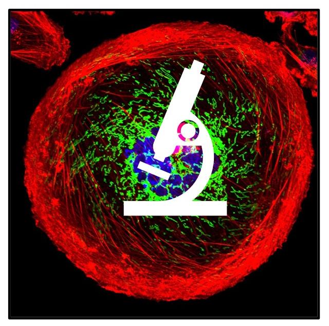 Image of a "hurricane in a cell" overlayed with a microscope icon. 