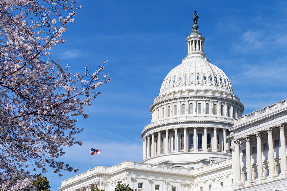 Photo of the US Capitol Building 