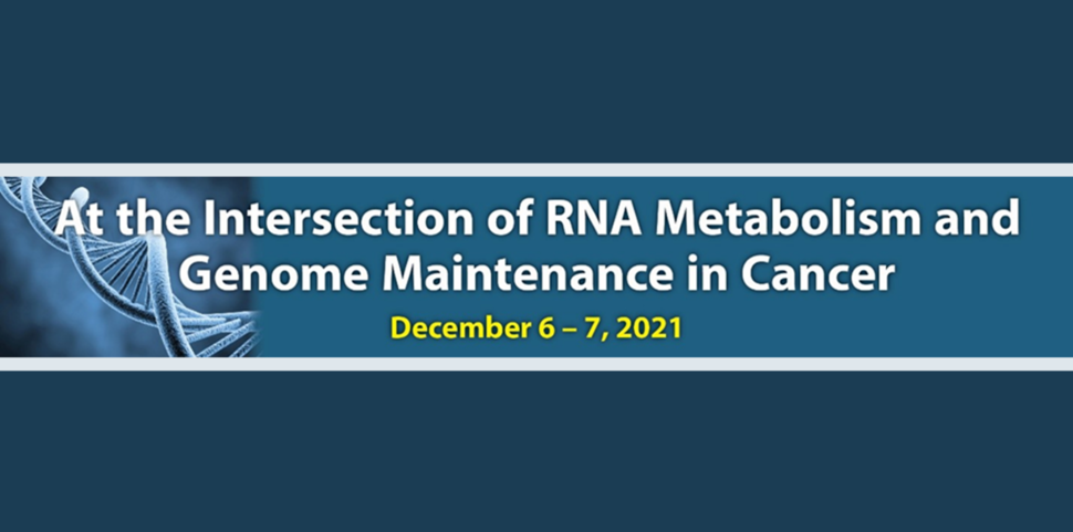 At the Intersection of RNA Metabolism and Genome Maintenance in Cancer Workshop (December 6-7, 2021) image with an illustration of DNA