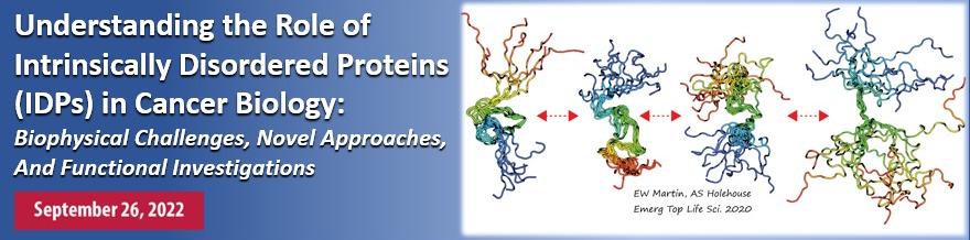 Understanding the Role of Intrinsically Disordered Proteins (IDPs) in Cancer Biology Workshop banner with an image of an IDP
