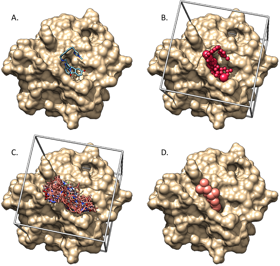 Ligand and receptor from a crystal structure