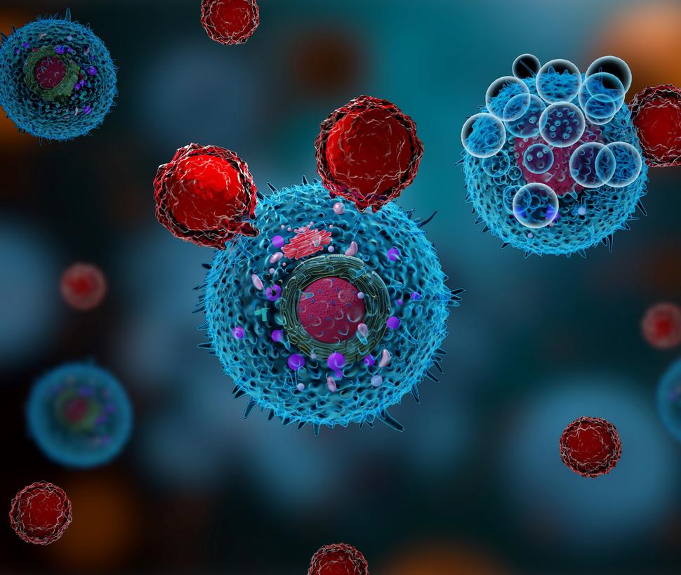 Illustration of T cells attacking a cancer cell.