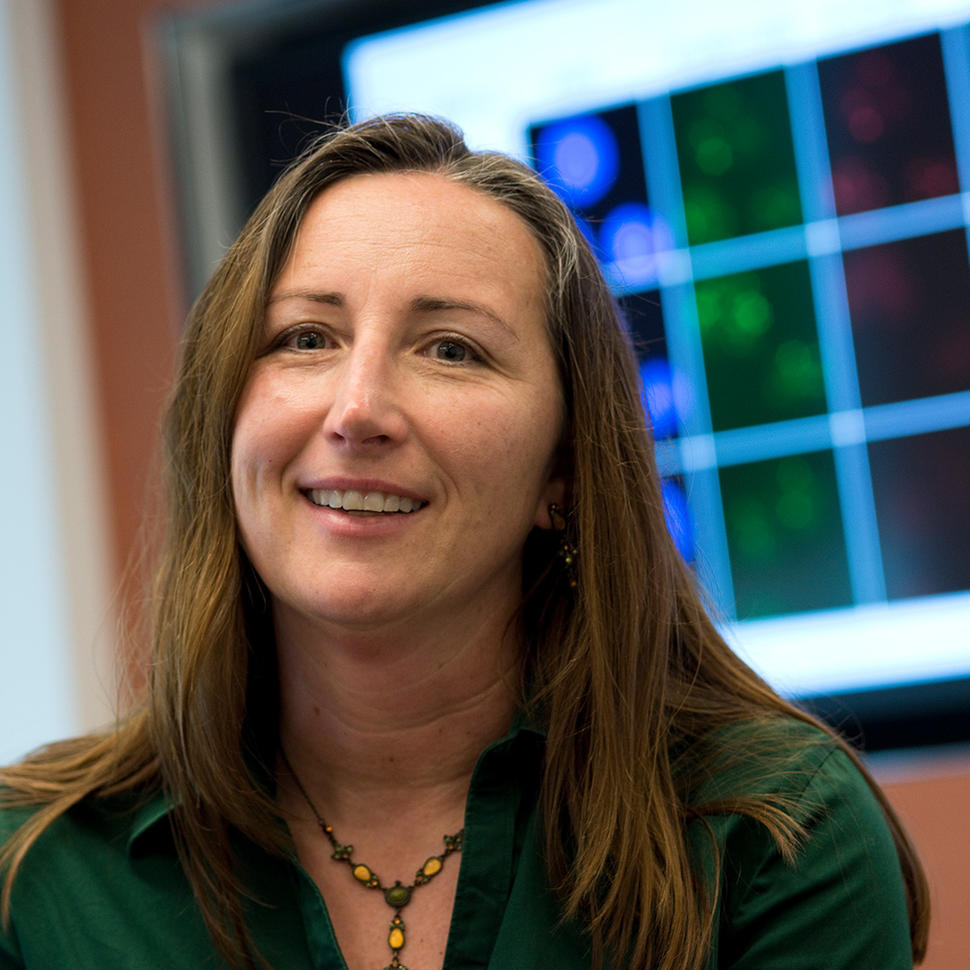 A White woman with light brown hair wearing a green blouse sitting in front of a large computer screen on the wall.