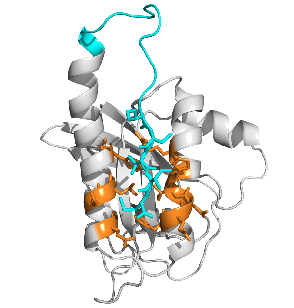 Illustration of interlocking gray, orange, and blue coils